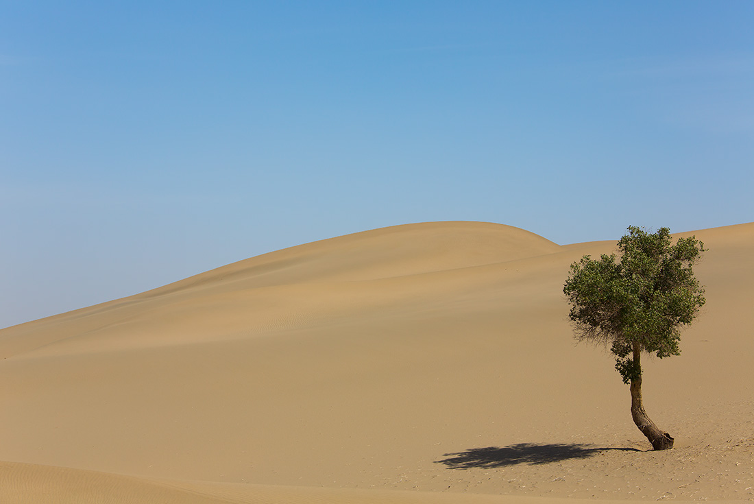 Desert de Gobi