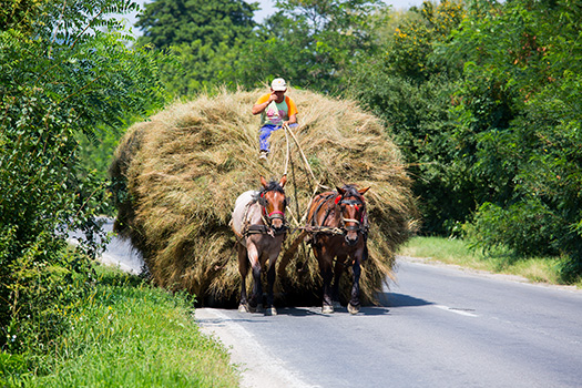 Route en roumanie