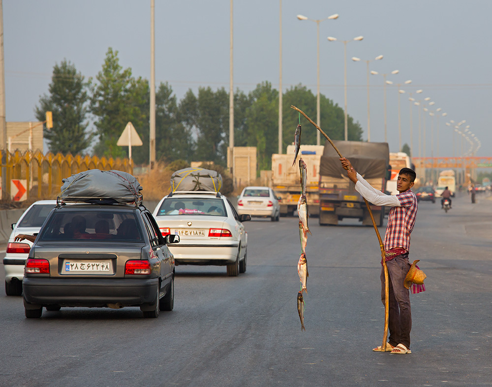 Vendeur de poisson sur la route en Iran